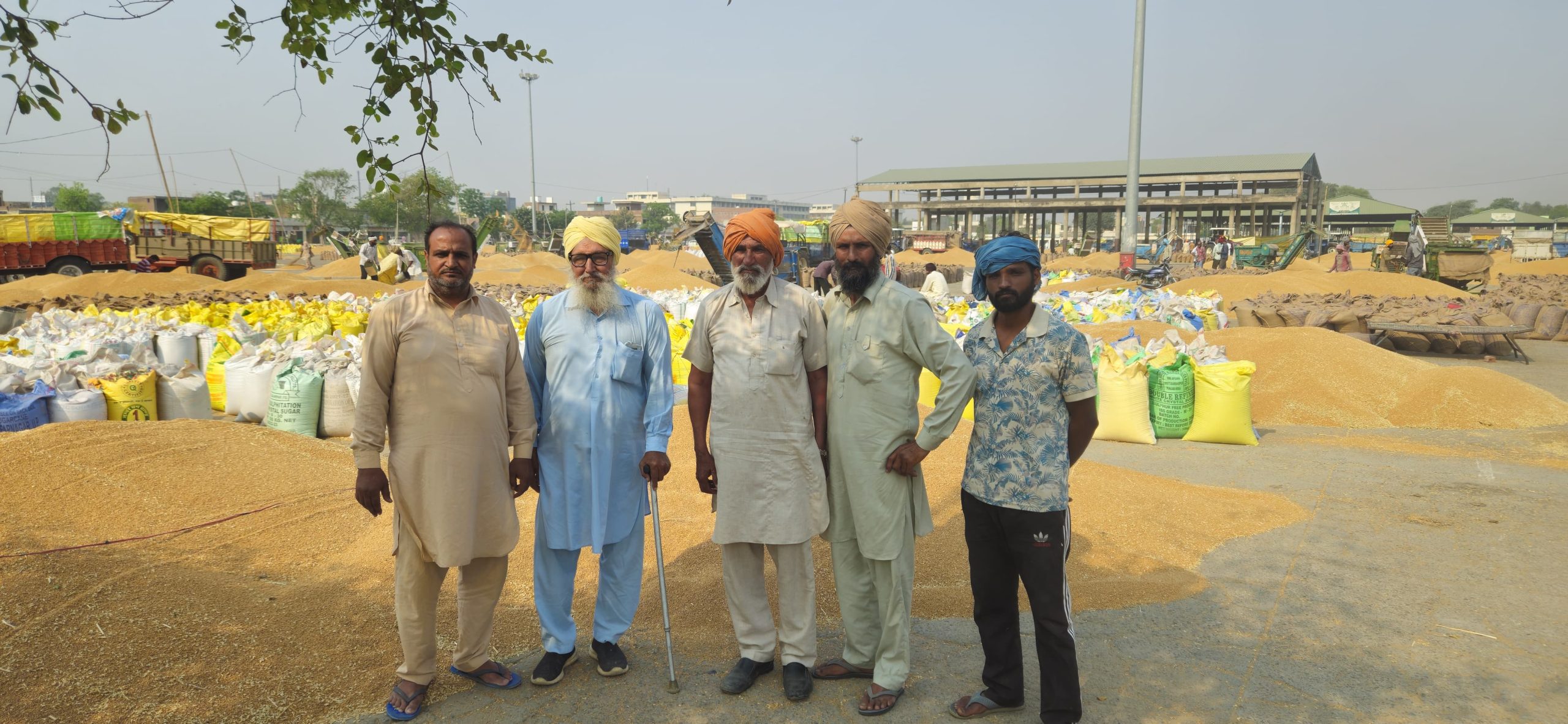 SRBK - srbkfoodgrains , agents of grains moga punjab