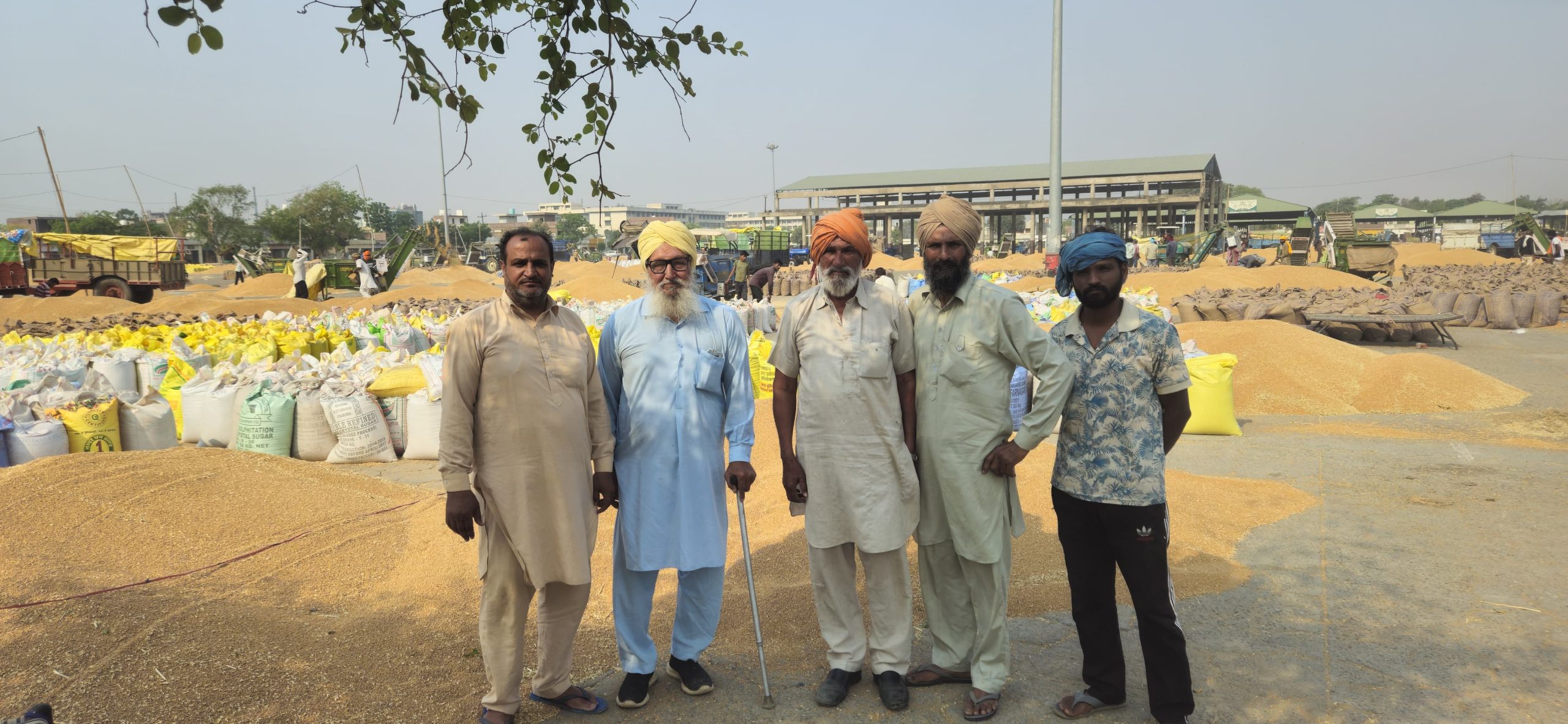 SRBK - commission agents moga, traders of grains punjab