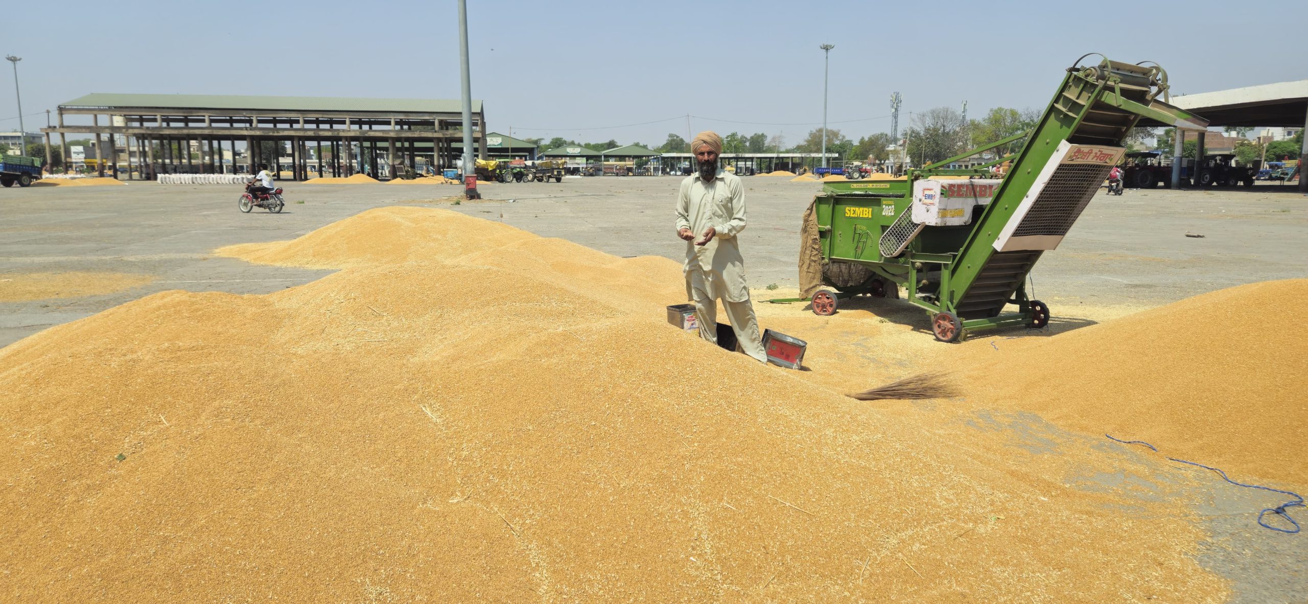 SRBK - wheat, paddy, maize, mustard seeds, moong traders moga punjab