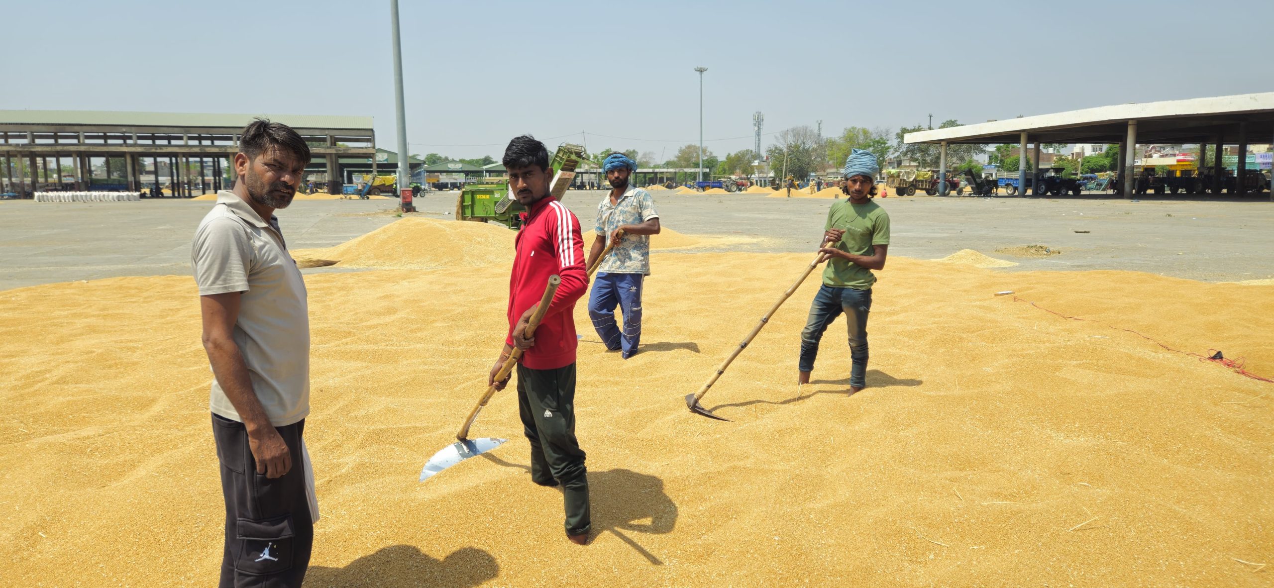 SRBK - sita ram bal krishan - commission agents in moga punjab